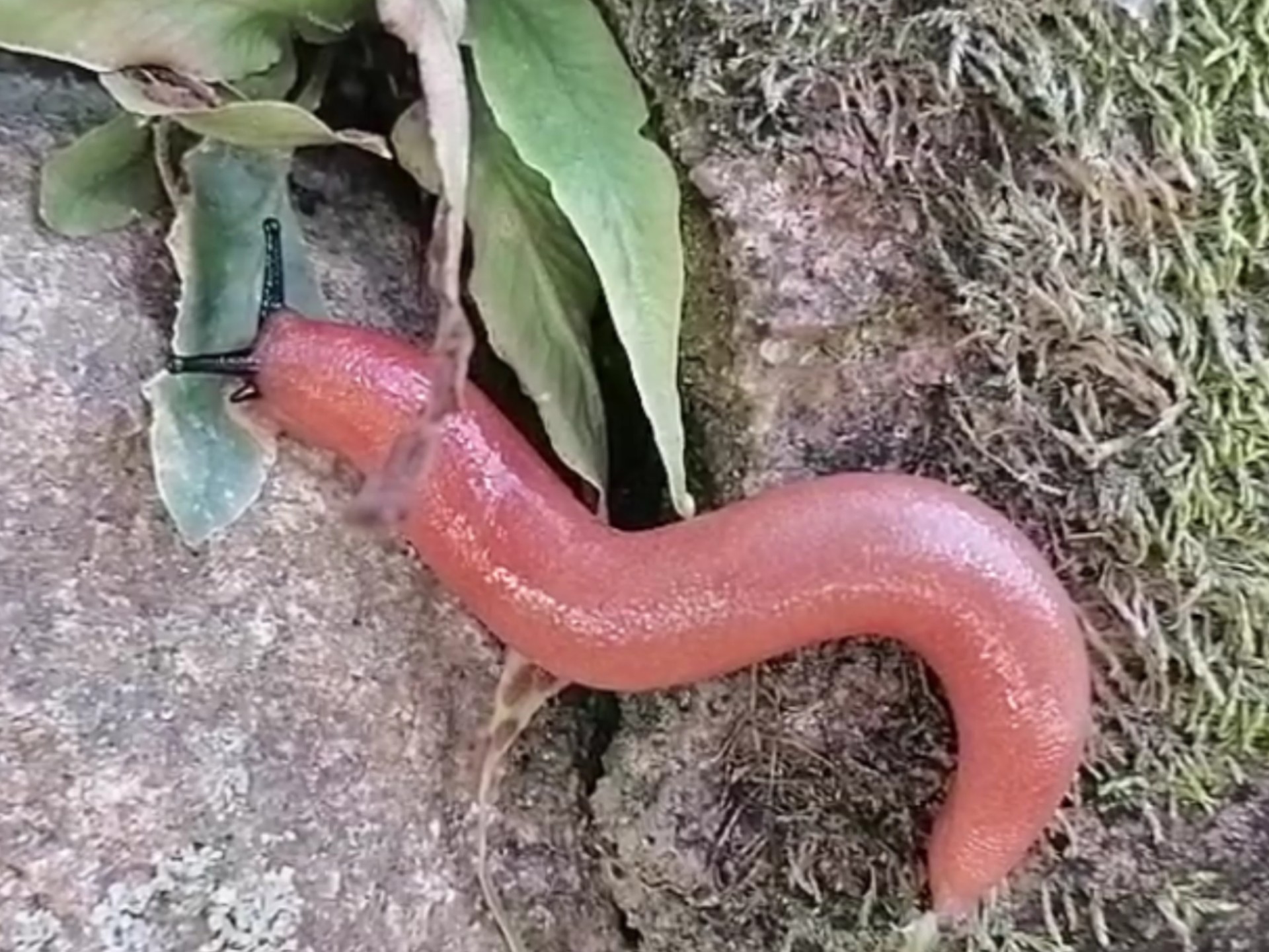 鋛?ュ?蟶h!??qM坃J~蜢獛`??!,<a href=